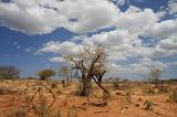 Ethiopia - Ritorno verso Turni - 3